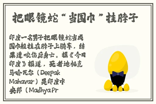 美国十次啦压缩